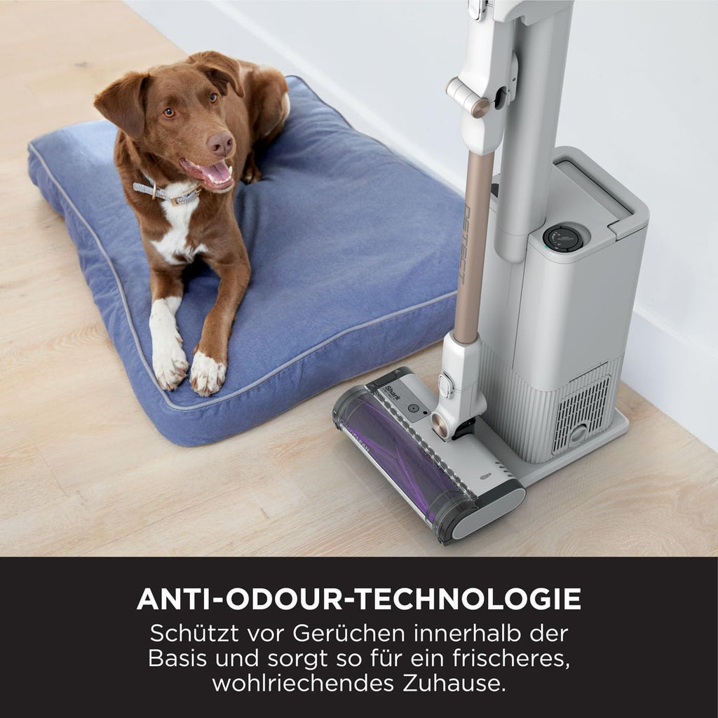 Detect Clean & Empty Akku-Staubsauger, DirtDetect, selbstleerende 2L Basis, 60 Min., Anti-Hair-Wrap, Fugendüse, weiß, IW3612EU