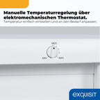 Gefrierschrank 91L Energieeffizienzklasse E 40 dB(A) kompakt 4-Sterne-Gefrieren manuelle Temperaturregelung wechselbarer Türanschlag GS512-040E weiss