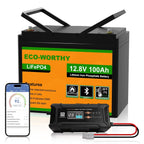 12V 100Ah LiFePO4 Bluetooth Lithiumbatterie mit BMS & Low Temperature Schutz, 12/24V 20A Ladegerät für Wohnmobil, Boot, Wohnwagen