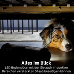 X-Force Flex 13.60 Kabelloser Akku-Staubsauger Allergiker-Modell, 150 Air Watt, 60 Min Laufzeit, Flex-Gelenk, Tiefe Reinigung, Made in France
