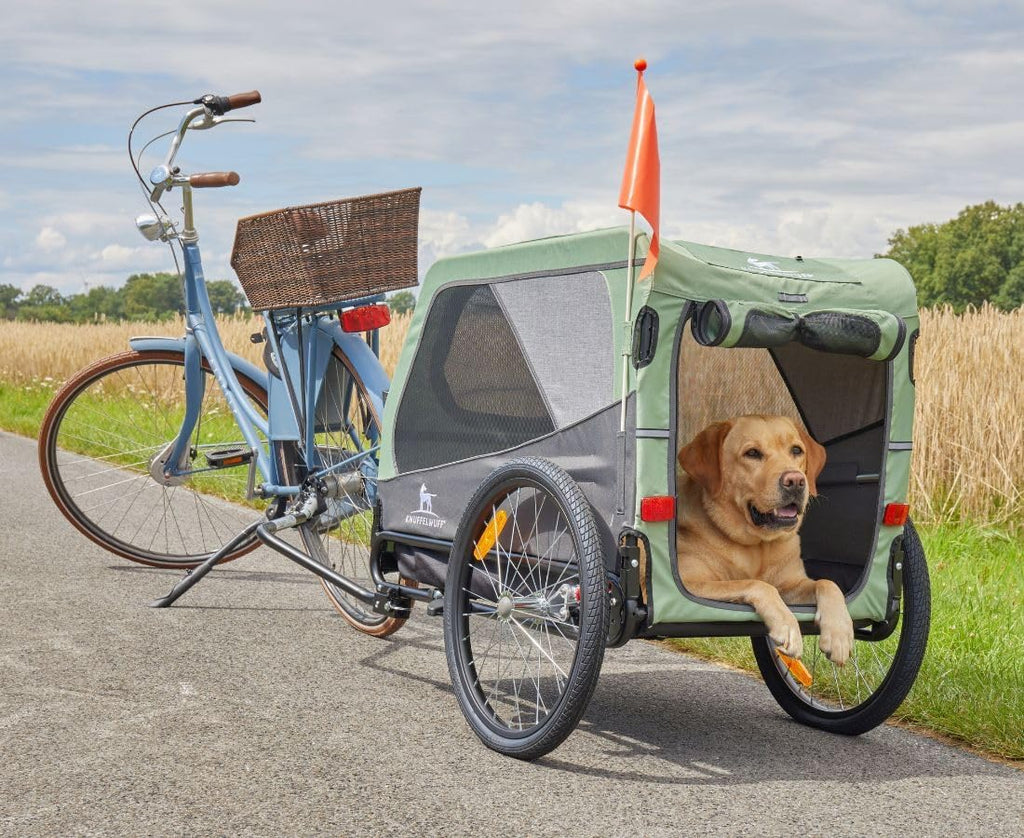 Hundeanhänger + Buggy | Fahrradanhänger bis 45kg | faltbar, leicht, stabil | Sicherheitsleine, Reflektoren, Insektenschutz, Uni-Kupplung