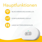 2960 View Plus - Intelligenter Radon und Luftqualität-Messgerät (Feinstaub, Radon, CO2, VOC, Luftfeuchtigkeit, Temperatur)