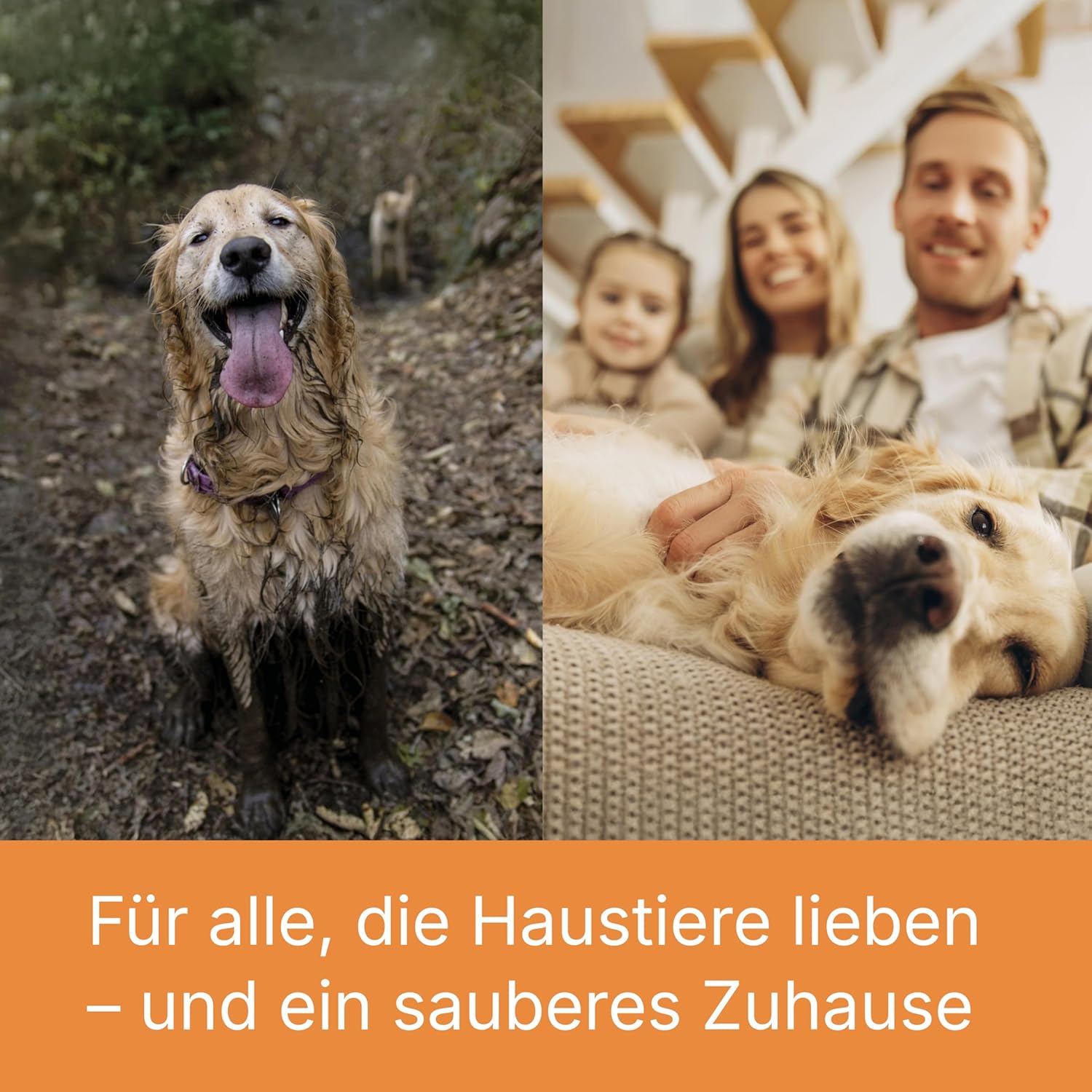 Aqua+ PET & Family – 1700W starker Nass- und Trockensauger für Tierhaare mit Wischfunktion und Polsterreinigung für Teppich, Sofa, Polster & Matratze