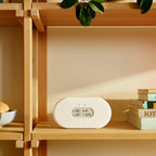 2960 View Plus - Intelligenter Radon und Luftqualität-Messgerät (Feinstaub, Radon, CO2, VOC, Luftfeuchtigkeit, Temperatur)