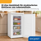 Gefrierschrank 91L Energieeffizienzklasse E 40 dB(A) kompakt 4-Sterne-Gefrieren manuelle Temperaturregelung wechselbarer Türanschlag GS512-040E weiss