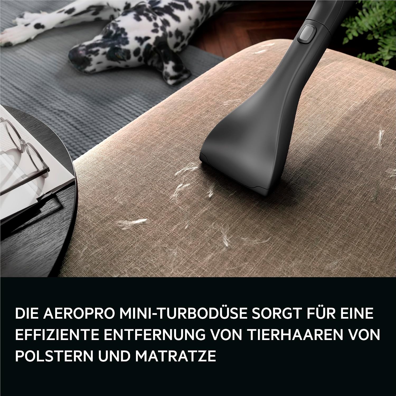 Staubsauger m. Beutel, 69 dB, HEPA, 5 L Beutel, Turbo-Düse für Tierhaare, 12 m, alle Böden, Zusatzdüsen, grau, VX9-5-EBR