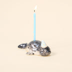 Grauer Robbe Kerzenhalter Keramik Handbemalt Party Hut Tier Geburtstag Feier Kuchen Topper Dekoration